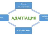 В чем суть адаптации