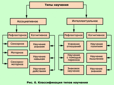 Моторное научение это