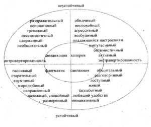 Типология характера по Юнгу - особенности личности