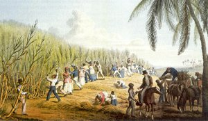 История рабовладельческого строя